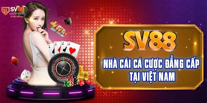 Tin Tức Sv88 Nhanh Chóng Và Chính Xác